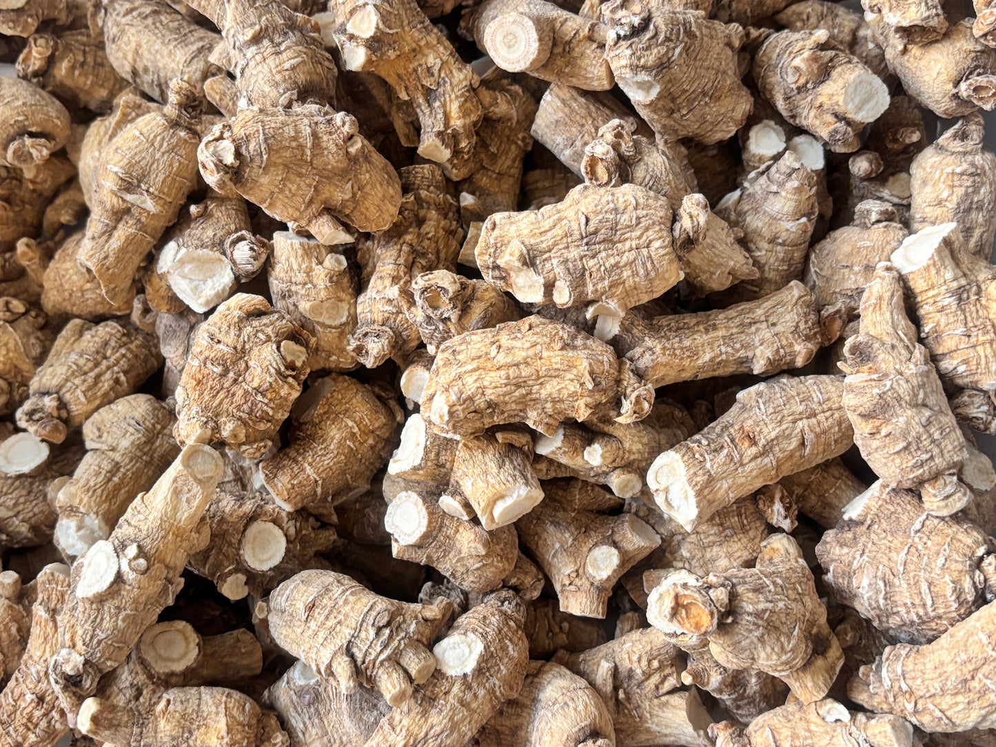 American Ginseng R1 - 101001