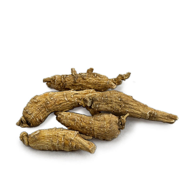 American Ginseng B1 - 101025