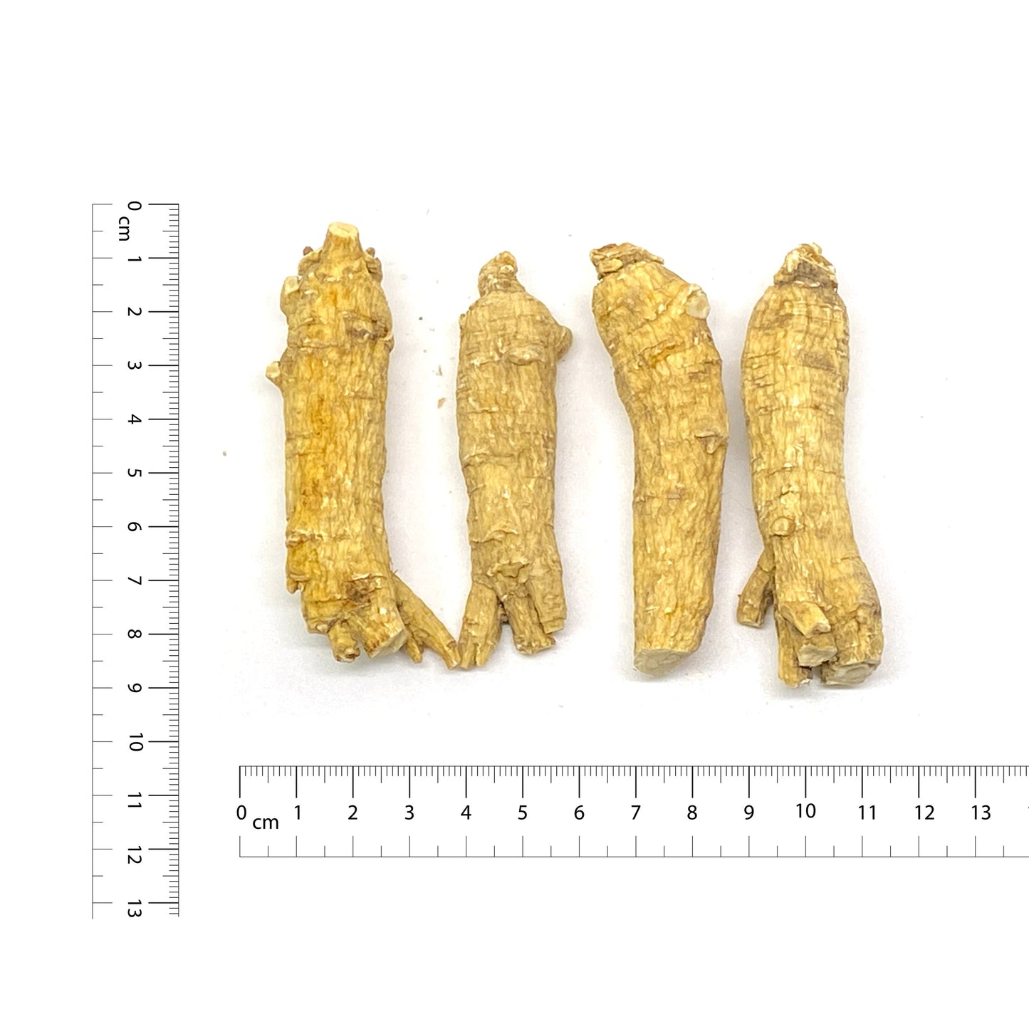 American Ginseng L3 - 101007