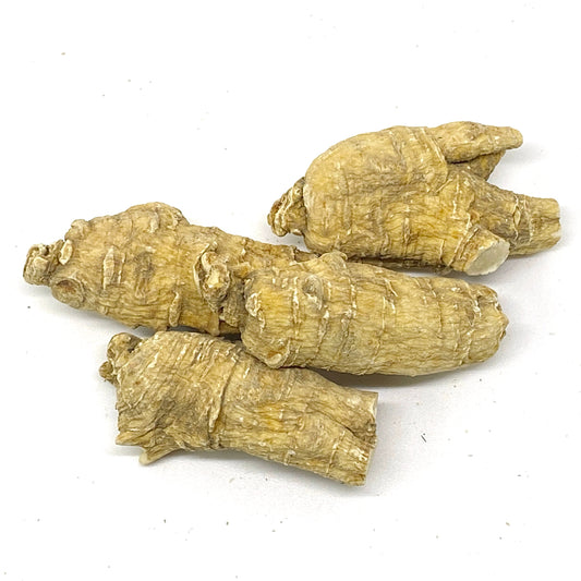 American Ginseng R1 - 101001