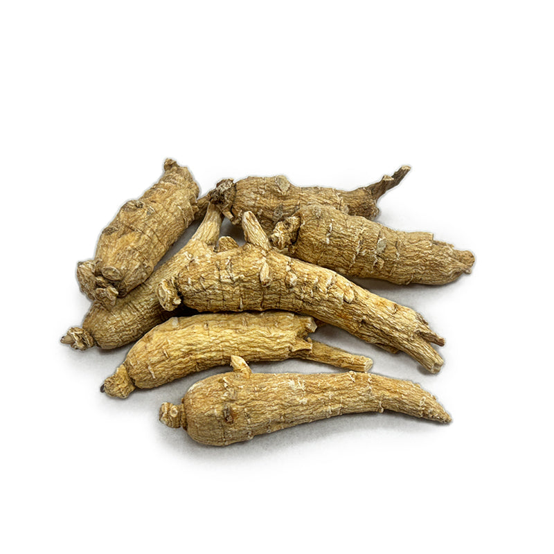 American Ginseng B1 - 101025