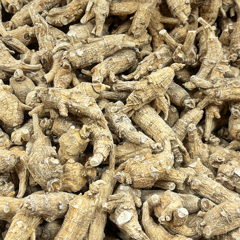 American Ginseng B1 - 101025