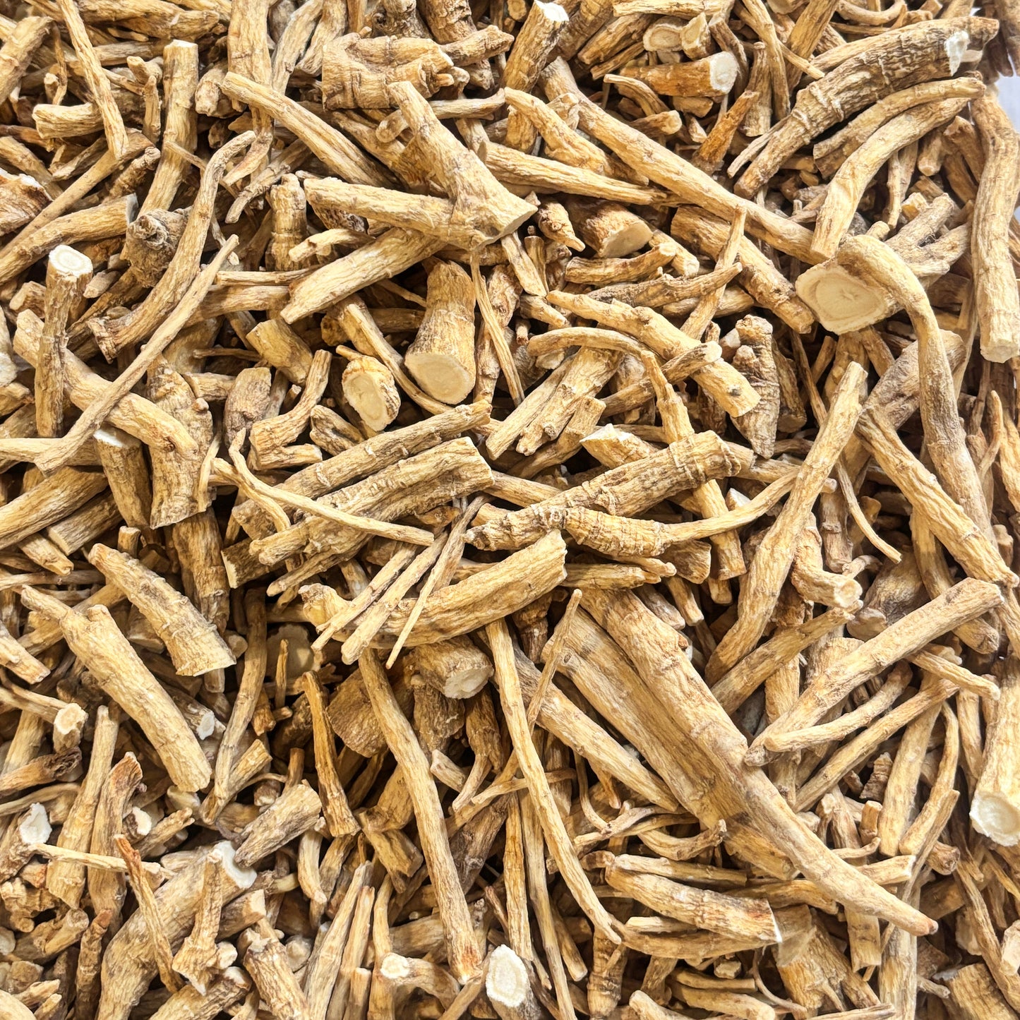 American Ginseng F1 - 101013