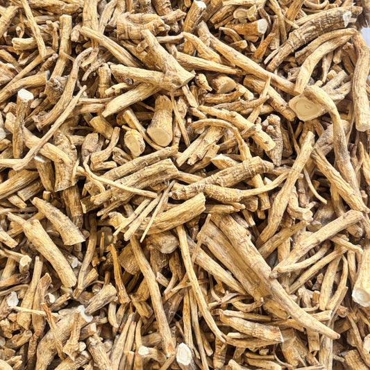 American Ginseng F1 - 101013