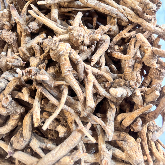 American Ginseng H1 - 101012