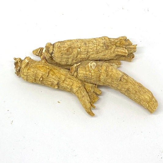 American Ginseng L3 - 101007