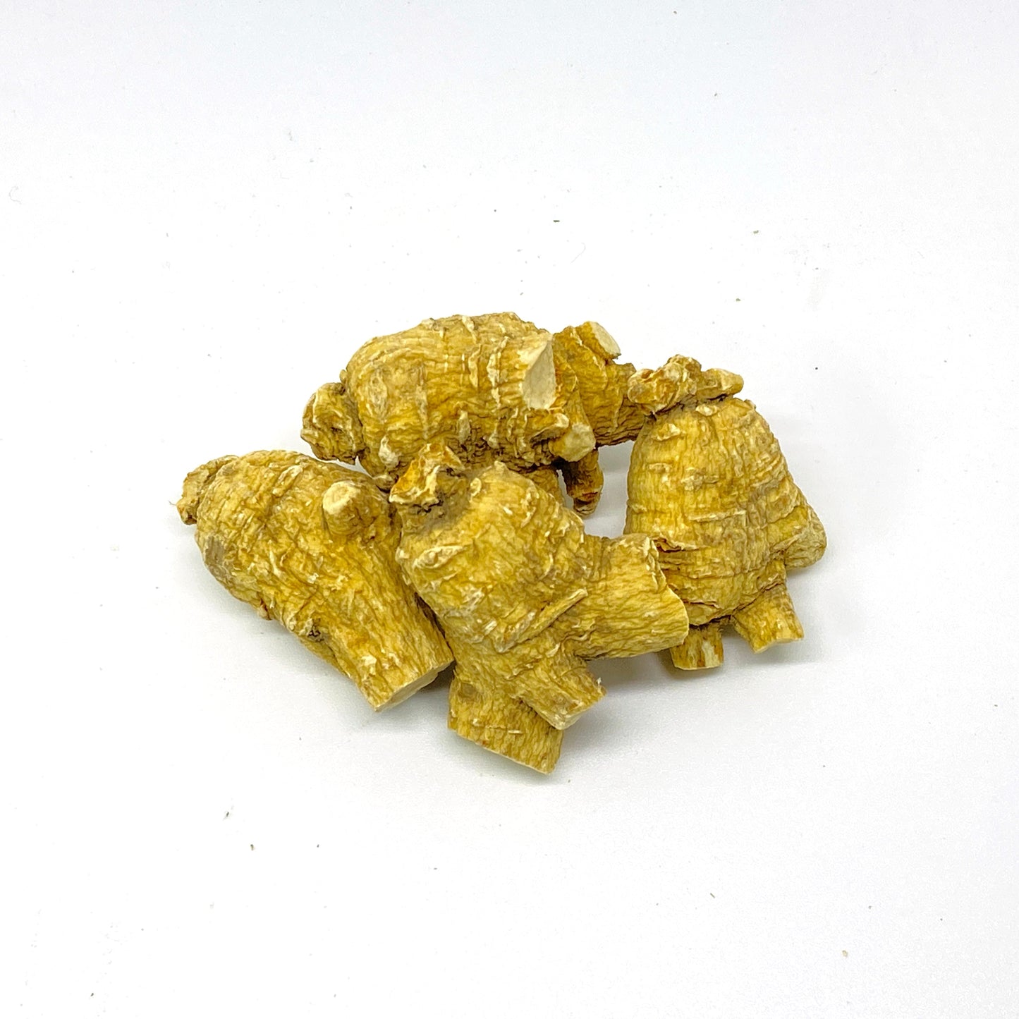 American Ginseng R3 - 101003